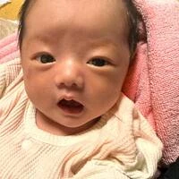 画像249